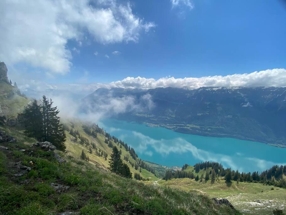 Chalet Mignon - Your Vacation Oasis At Lake Brienz Bönigen Exterior foto